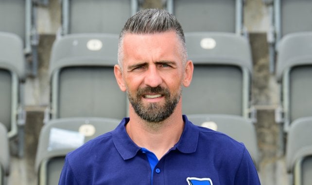 Vedad Ibisevic hat bereits ein Hertha-Vergangenheit