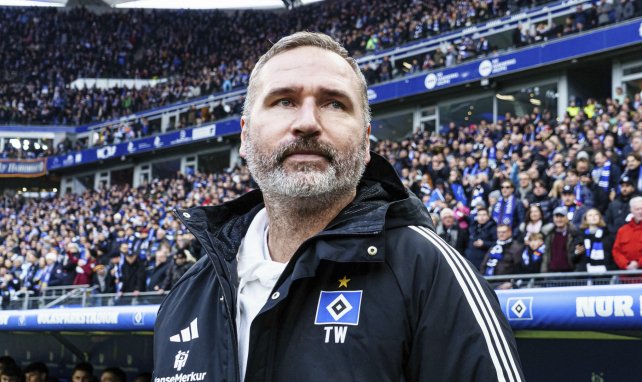 Tim Walter als Trainer des HSV